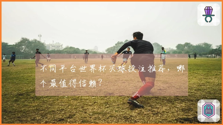 不同平台世界杯买球投注推荐，哪个最值得信赖？