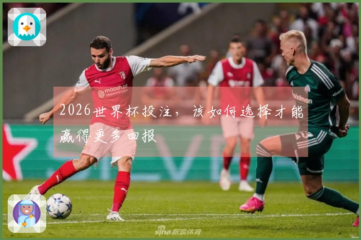 2026世界杯投注，该如何选择才能赢得更多回报