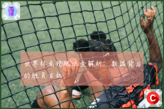 世界杯竞猜玩法全解析：数据背后的胜负玄机