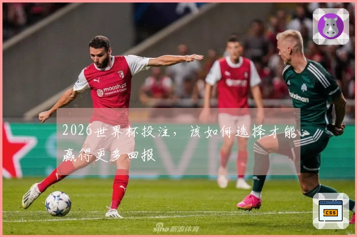 2026世界杯投注，该如何选择才能赢得更多回报