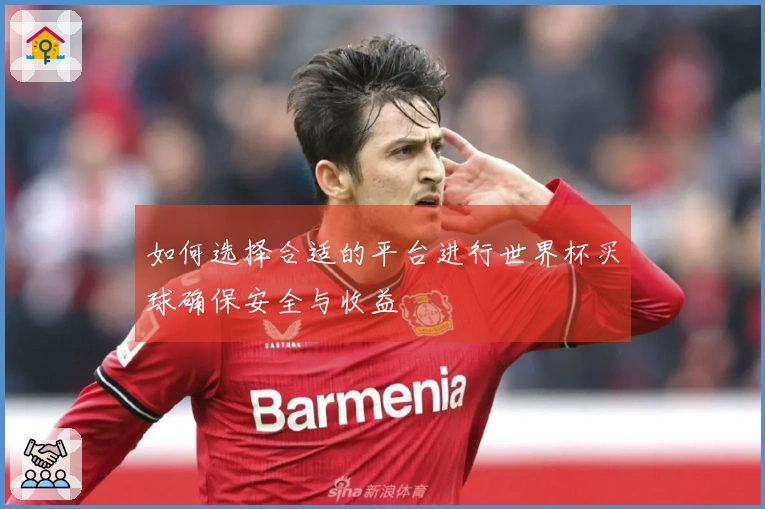 如何选择合适的平台进行世界杯买球确保安全与收益
