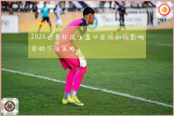 2026世界杯投注盘口变化如何影响你的下注策略