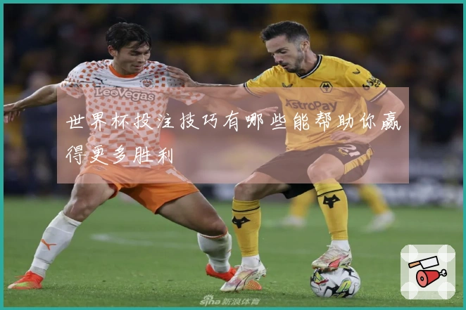 世界杯投注技巧有哪些能帮助你赢得更多胜利