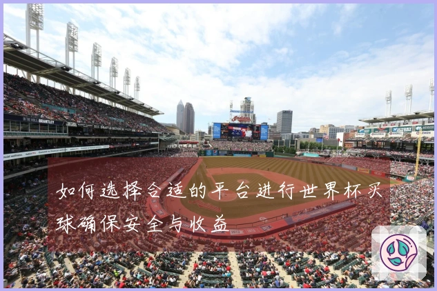 如何选择合适的平台进行世界杯买球确保安全与收益