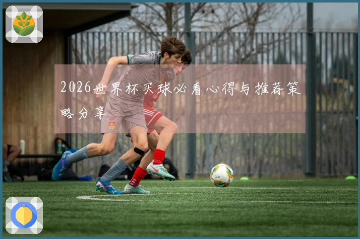 2026世界杯买球必看心得与推荐策略分享
