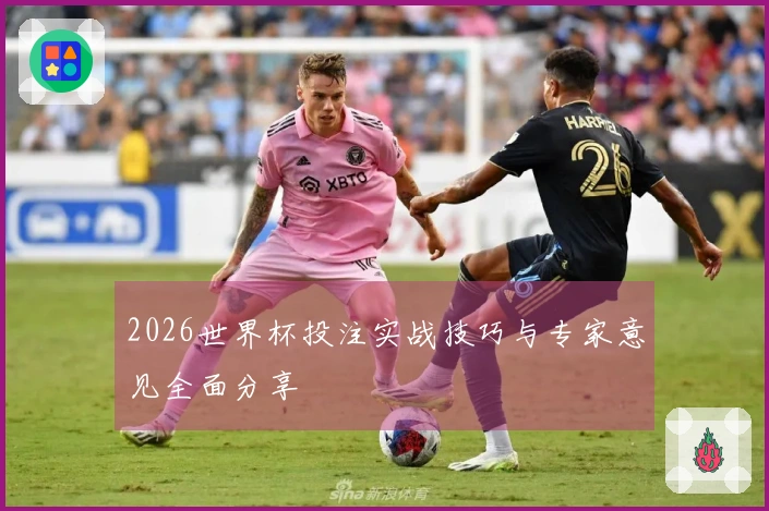 2026世界杯投注实战技巧与专家意见全面分享
