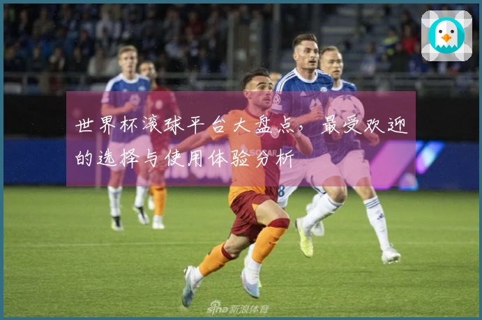世界杯滚球平台大盘点，最受欢迎的选择与使用体验分析