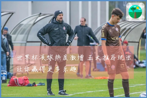 世界杯滚球热度激增 五大推荐玩法让你赢得更多乐趣