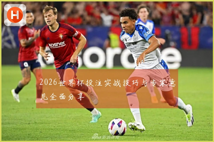2026世界杯投注实战技巧与专家意见全面分享